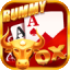 cards rummy logo